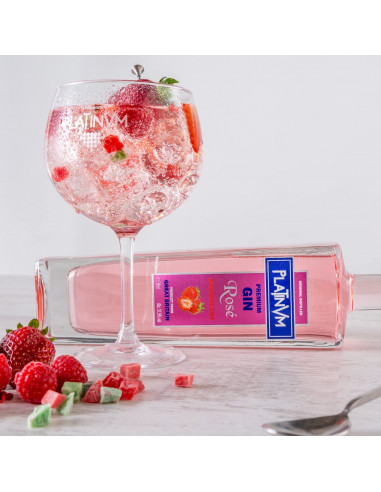 Estuche 2 copas Gin Platinum...